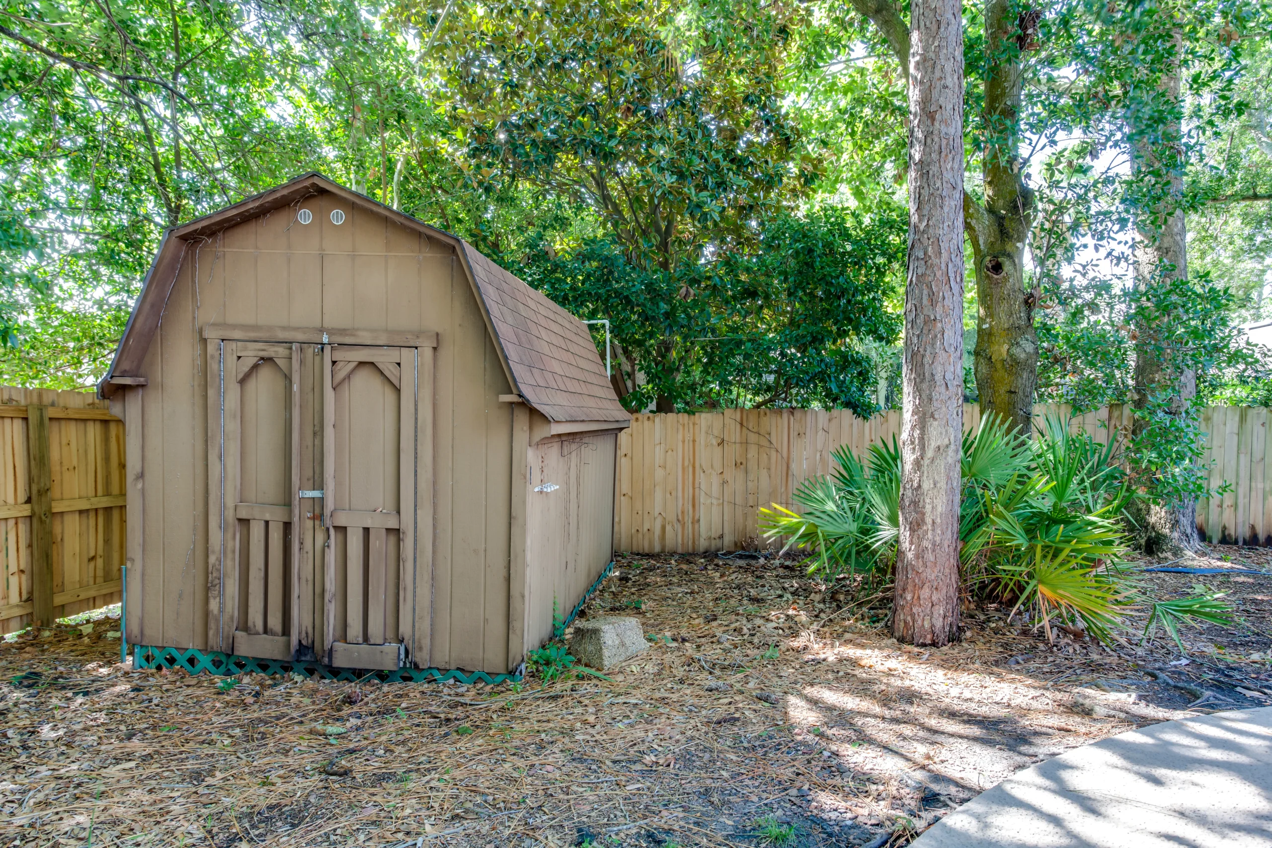 shed in backyard